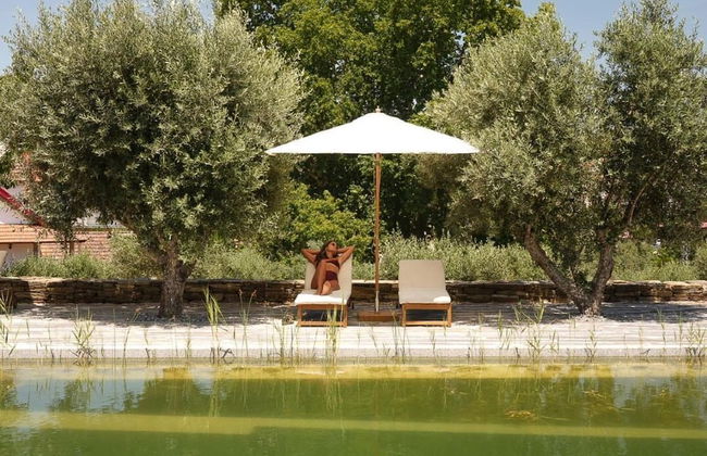 Quinta Vila Rachel - Photo 30