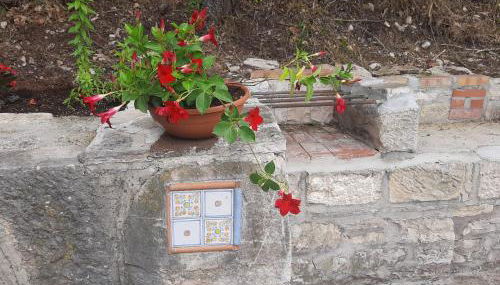 IL CAMINETTO - Foto 3