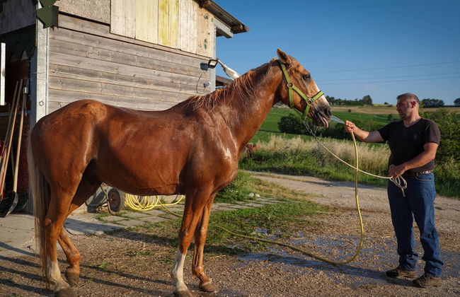 Casale Talevi - Foto 23