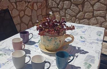 App Bonić - Foto 46