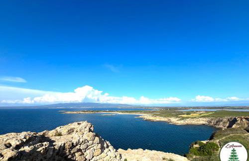 L'Araucaria Appartamento Suite Il Ginepro - Foto 39
