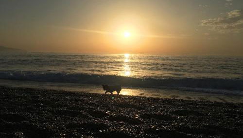 Pionono1 Calahonda Piscina - Foto 5