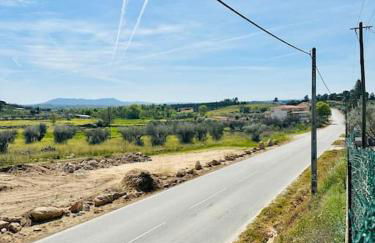 Reis House - Foto 23