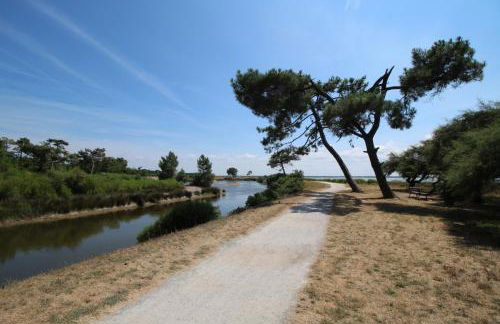 1km plage- Bassin d'Arcachon- Maison pour 6 - Photo 22
