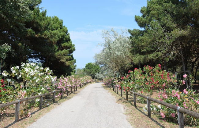 Beachy Comfort in Lido di Spina - Foto 30