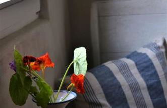 Romantische Zeitreise in historischer Käserei - Foto 7