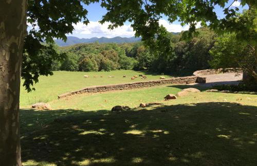 Casa Rural El Callís - Foto 21