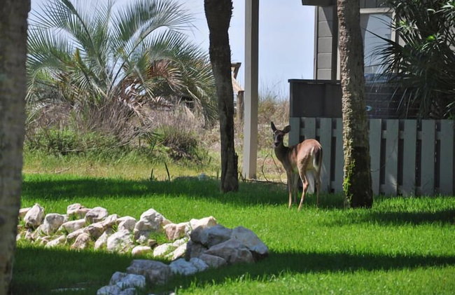 707 Silverside - Foto 44