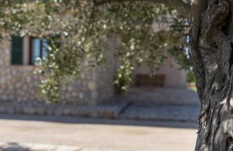 Es Rasquell - Foto 13