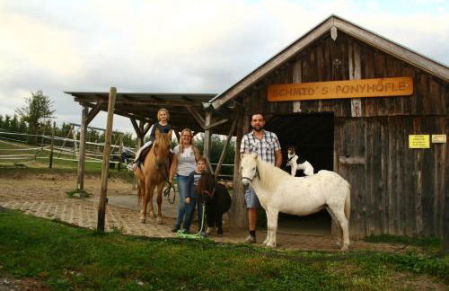 Schmid's Ponyhöfle - Foto 5