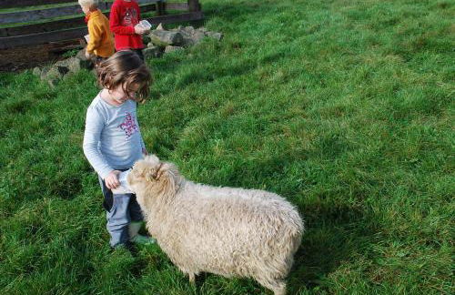 Ferienwohnungen Landgasthaus Janshen - Foto 19