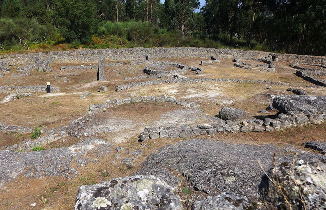 Casas da Petisqueira 61 - Paredes-Oporto - Foto 57