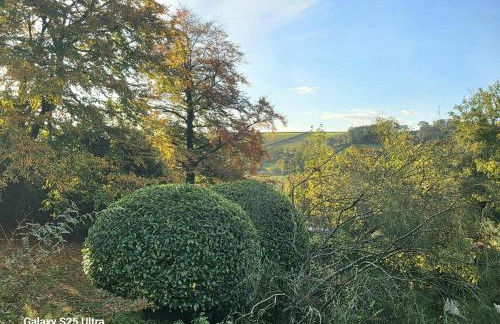 The Annexe Lurley Manor - Foto 38