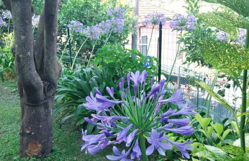 Il Giardino di Gio' - Foto 13