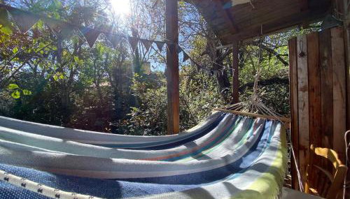 Η Χαρούμενη Αρκούδα - Foto 5