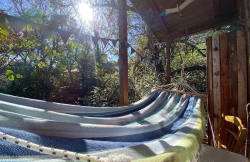 Η Χαρούμενη Αρκούδα - Foto 5