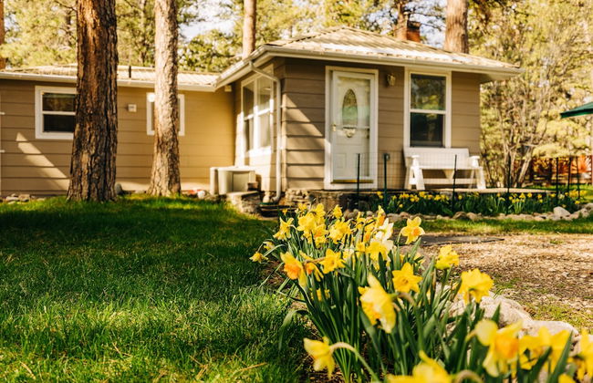 Serene Creek Side Cottage Retreat - Foto 39