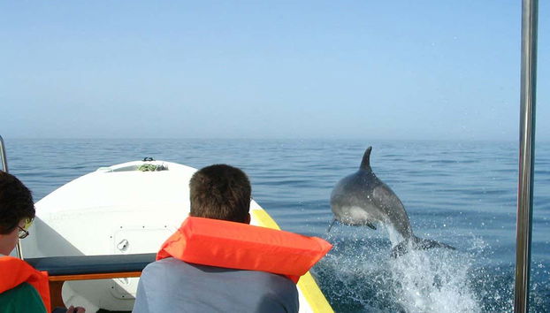 Navegando por el Atlántico