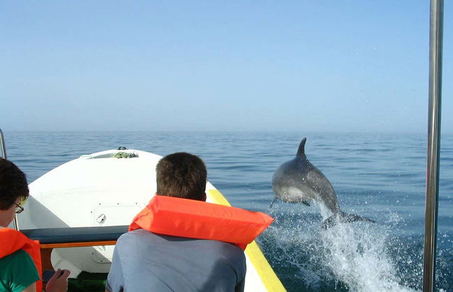 Avistamiento de delfines en Tavira - Foto 3