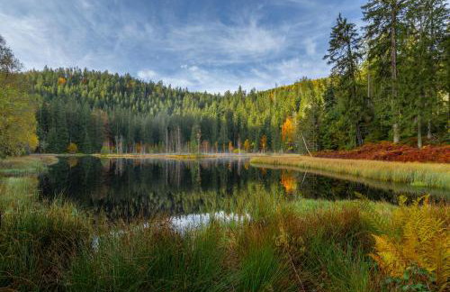 Sagenhafter Ausblick - Foto 28