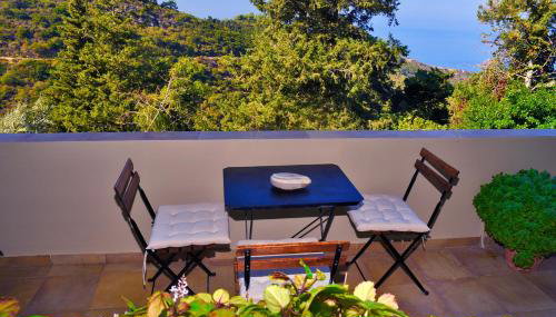 Endless green 1 Arethousa Ikaria - Foto 5