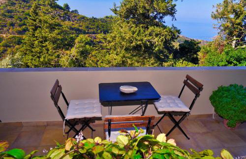 Endless green 1 Arethousa Ikaria - Photo 5