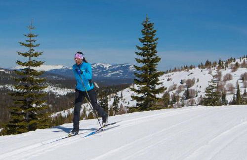 Modern Gambrel Cabin Near Ski Resorts - Photo 32