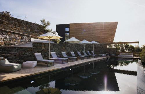 Five Olive Dream Trip - Photo 10