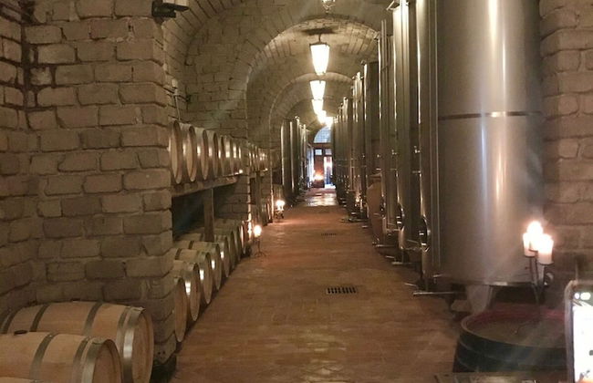 Villa Vinarte Elegant Home 2 Pools Tennis spa Winery Exclusively for you - Foto 60