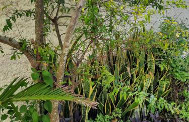 Estúdio acolhedor e versátil - Foto 1