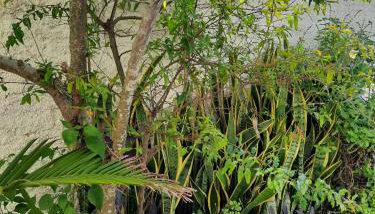 Estúdio acolhedor e versátil - Foto 1