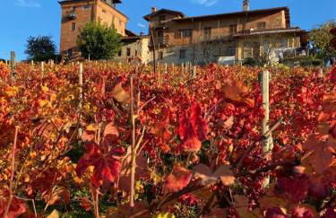 Agriturismo Il Palazzetto - Foto 5