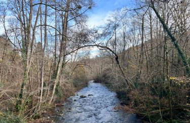 La Casina del Cabecin en Parque Natural de Redes - Foto 31