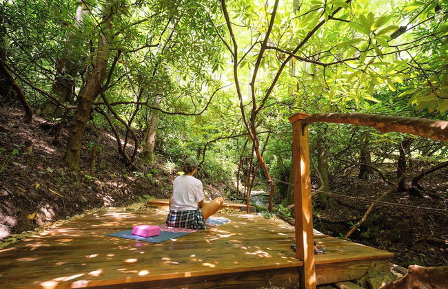 Meraki Escape - Log Cabins w/Hot Tubs + Pet Friendly - Foto 20