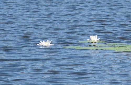 Ferienwohnungen Pustane - Foto 25