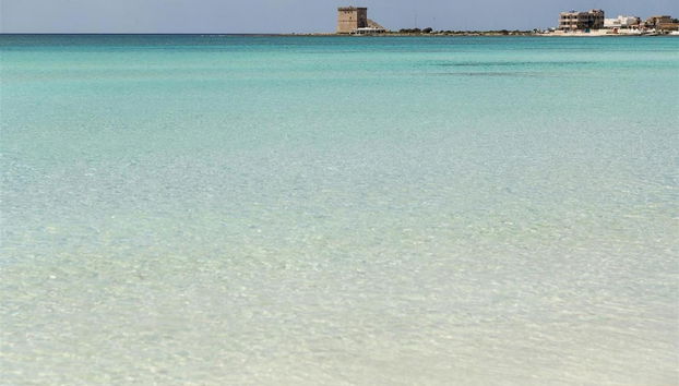 1063 PMR - Appartamento Conchiglia - Foto 2, Habitación