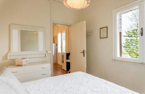 Sassi Scritti - Acero Montano - Photo 18