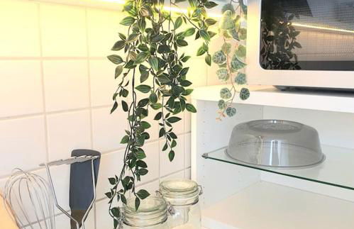 Ferien und Business Appartement mit Loggia - Photo 8