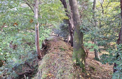 Ryan's Cottage - Photo 76