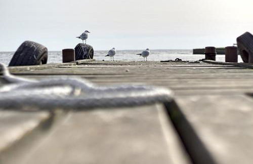 Haus unter den drei Bäumen - Urlaub auf der Sonneninsel Usedom - Foto 36