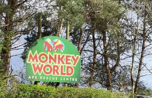 The Hollies, Dorset - Foto 28