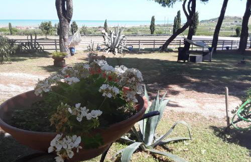 Il Tremolar Della Marina - Foto 23