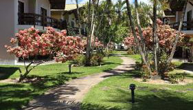 Casa Lírio - Beira da praia - Foto 5