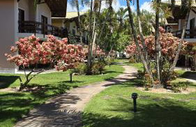 Casa Lírio - Beira da praia - Foto 5