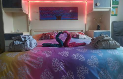 Nido delle meraviglie - Foto 38