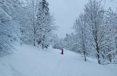 Dolce Vita Gerolstein -Dani - Foto 49