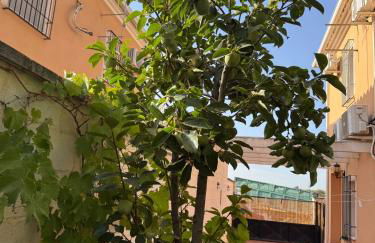 La Casita de Blanca - Foto 28