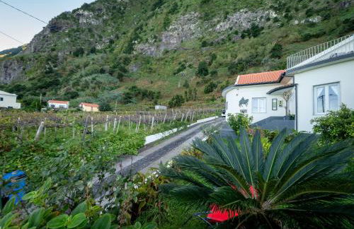 Ocean Garden, 4 units by the ocean - Foto 16