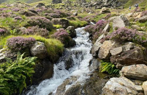 Pen y Cwm Cottage - Foto 25
