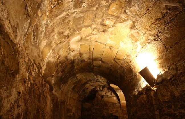 Visita guiada por el Castillo de Sabiote - Foto 3